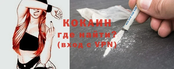 мяу мяу кристалл Няндома