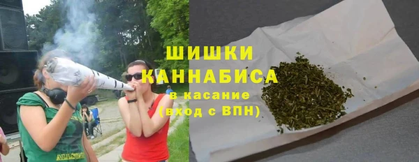сатива Новокубанск