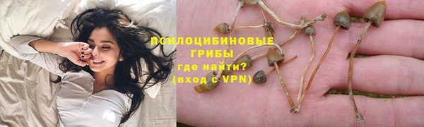 марихуана Новозыбков