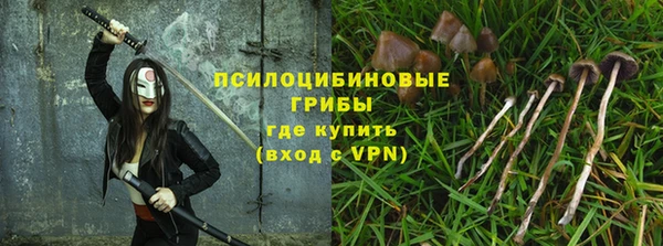 мяу мяу кристалл Няндома