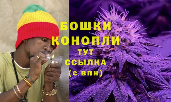 мяу мяу кристалл Няндома